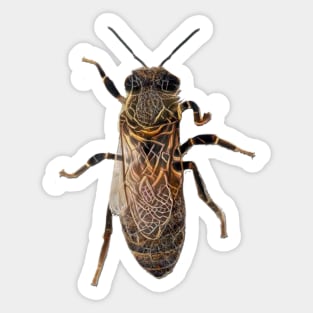 Worker Honey Bee 05 Sticker